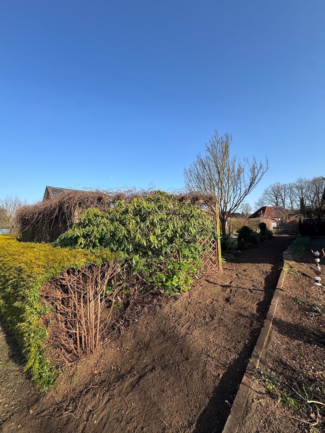 Gartenbereich freigelegt
